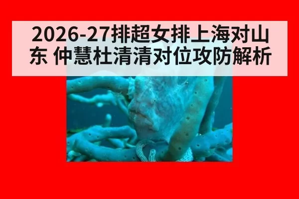 2026-27排超女排上海对山东 仲慧杜清清对位攻防解析